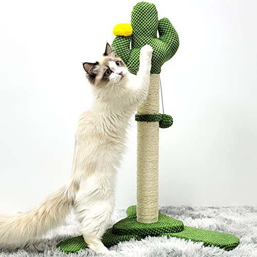 Cactus Cat Scratching Post with Dangling Toy Ball
