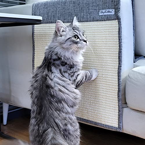 Cat Scratching Pad for Couch from Claws
