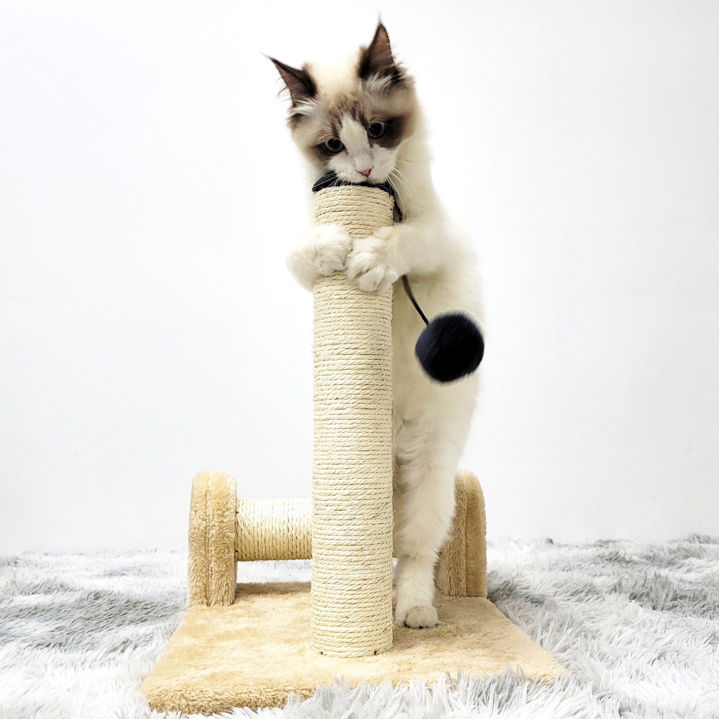 Dual Scratching Post for Indoor Cats