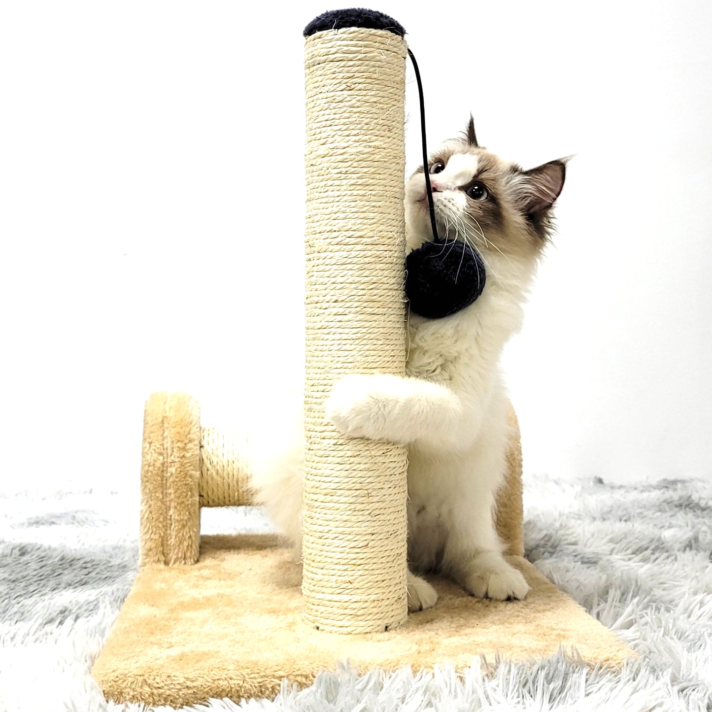 Dual Scratching Post for Indoor Cats