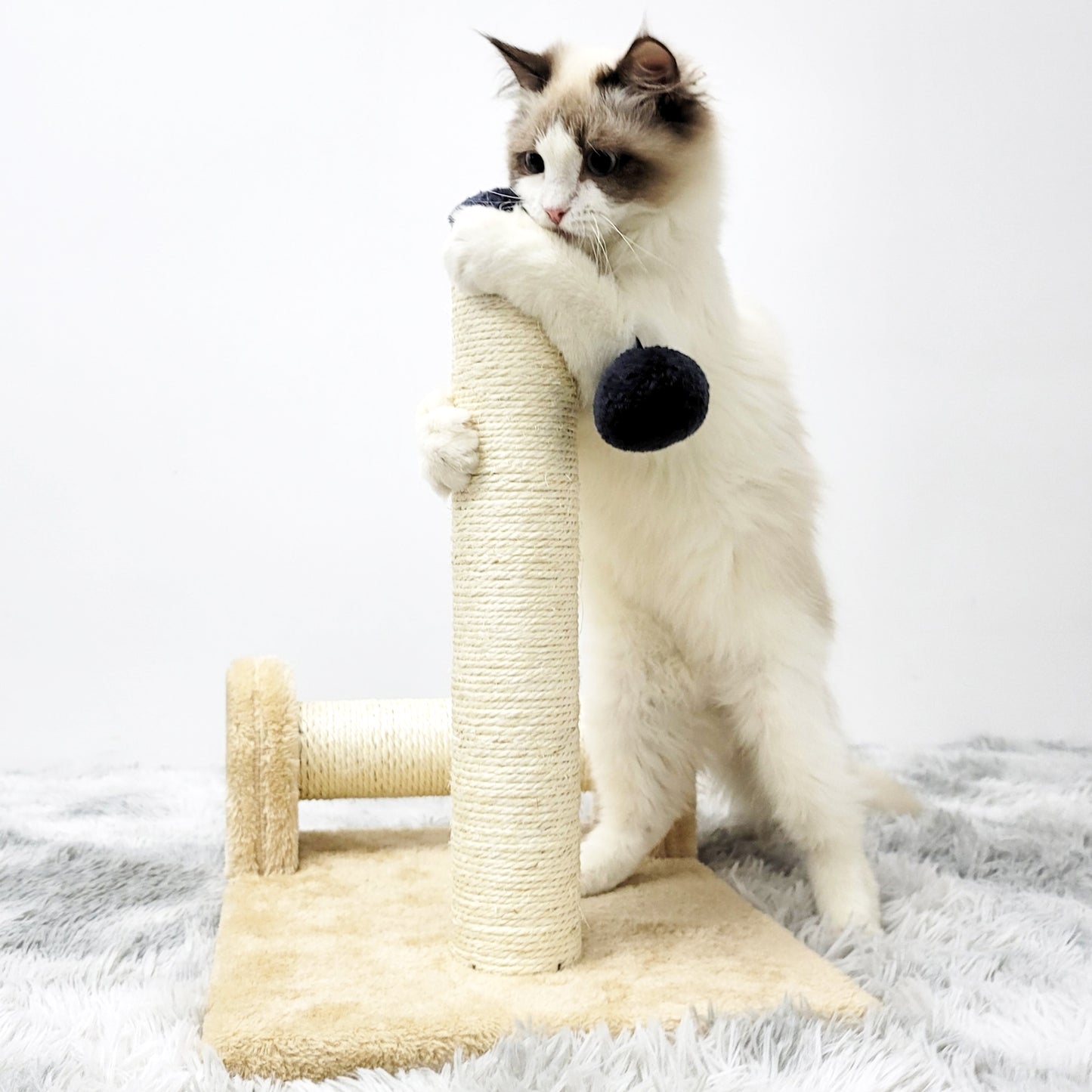 Dual Scratching Post for Indoor Cats