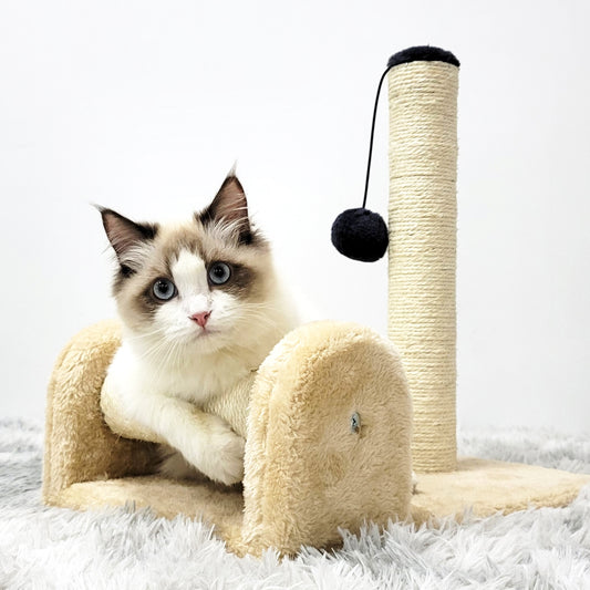 Dual Scratching Post for Indoor Cats