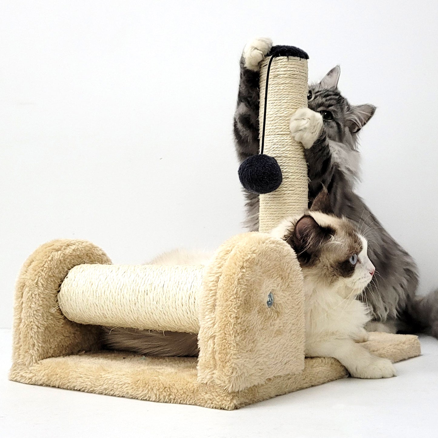 Dual Scratching Post for Indoor Cats