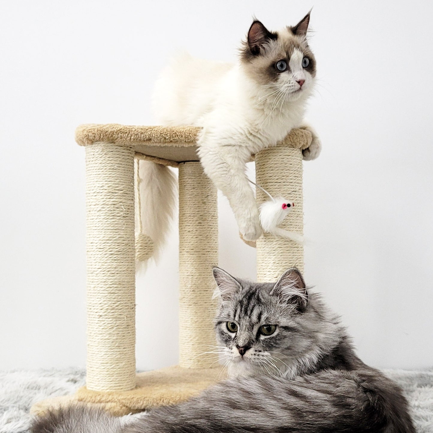Tripod Base Cat Scratching Posts with Perch (Gray/Beige)