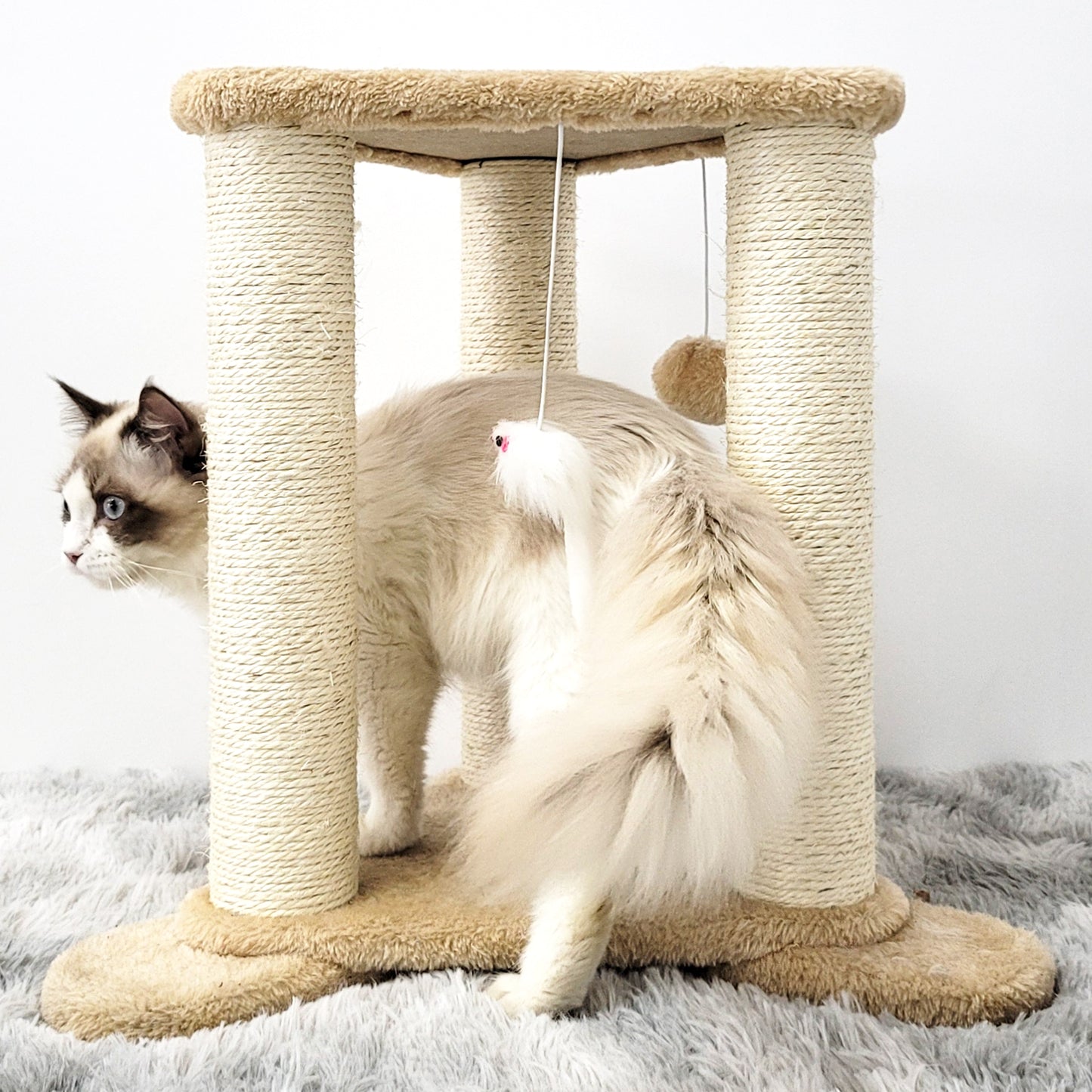 Tripod Base Cat Scratching Posts with Perch (Gray/Beige)