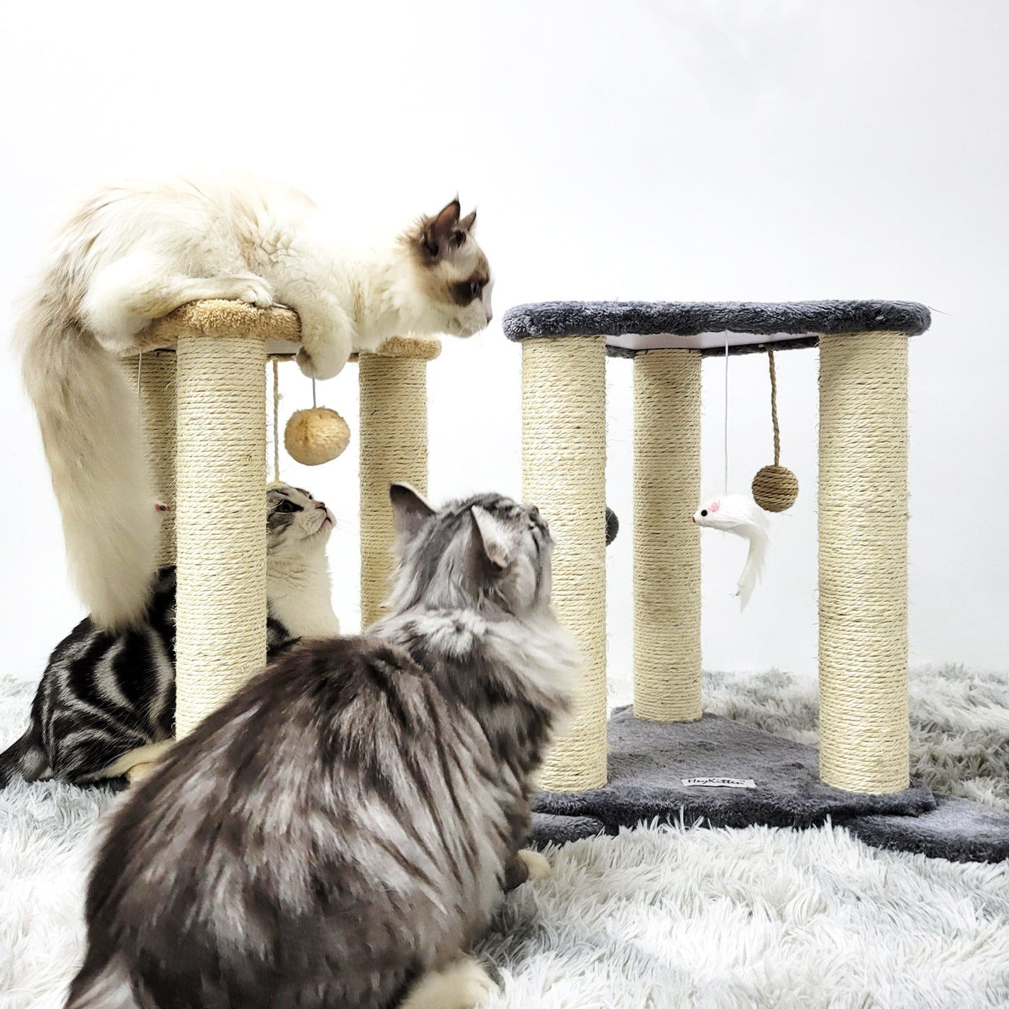 Tripod Base Cat Scratching Posts with Perch (Gray/Beige)