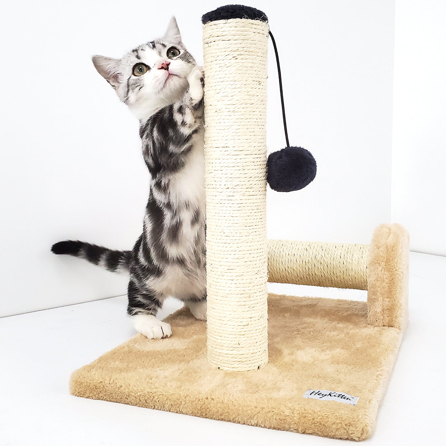 Dual Scratching Post for Indoor Cats
