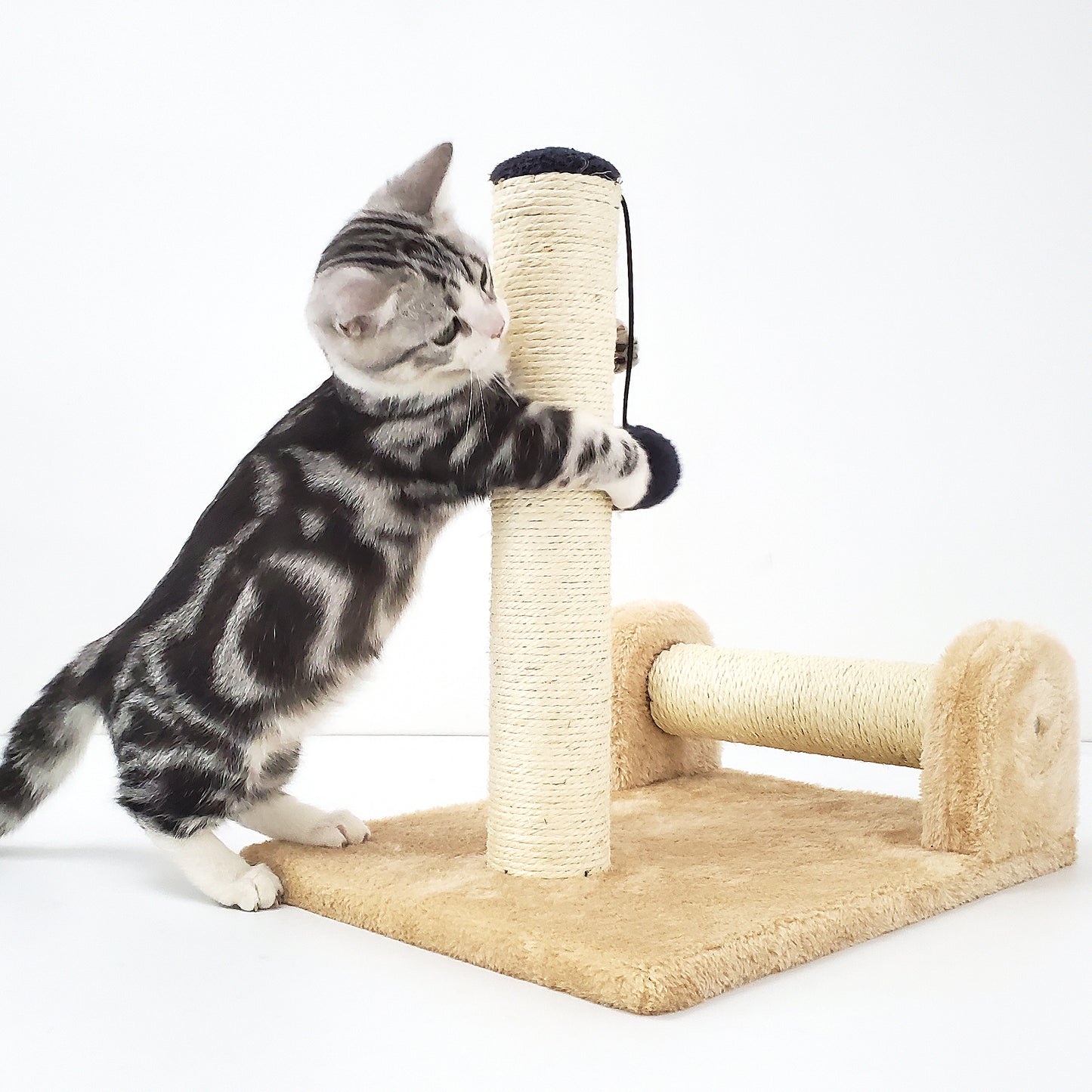 Dual Scratching Post for Indoor Cats