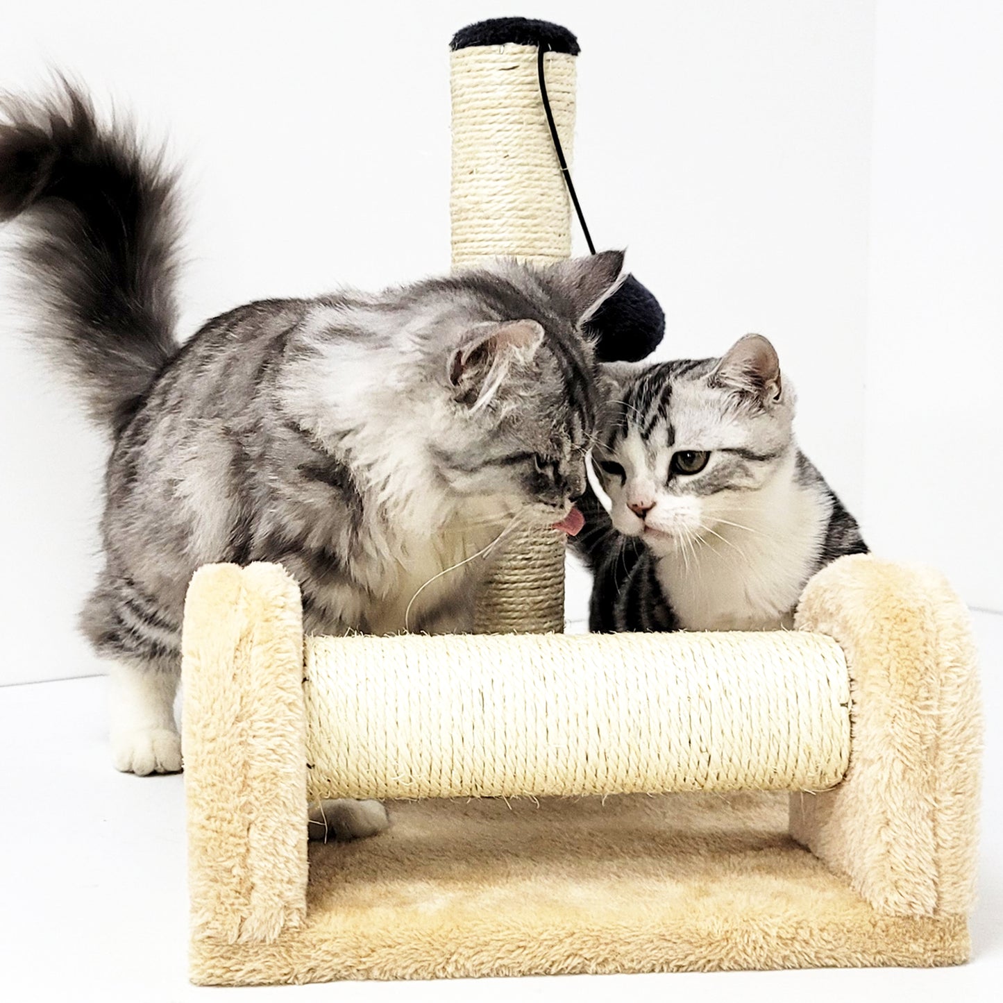 Dual Scratching Post for Indoor Cats