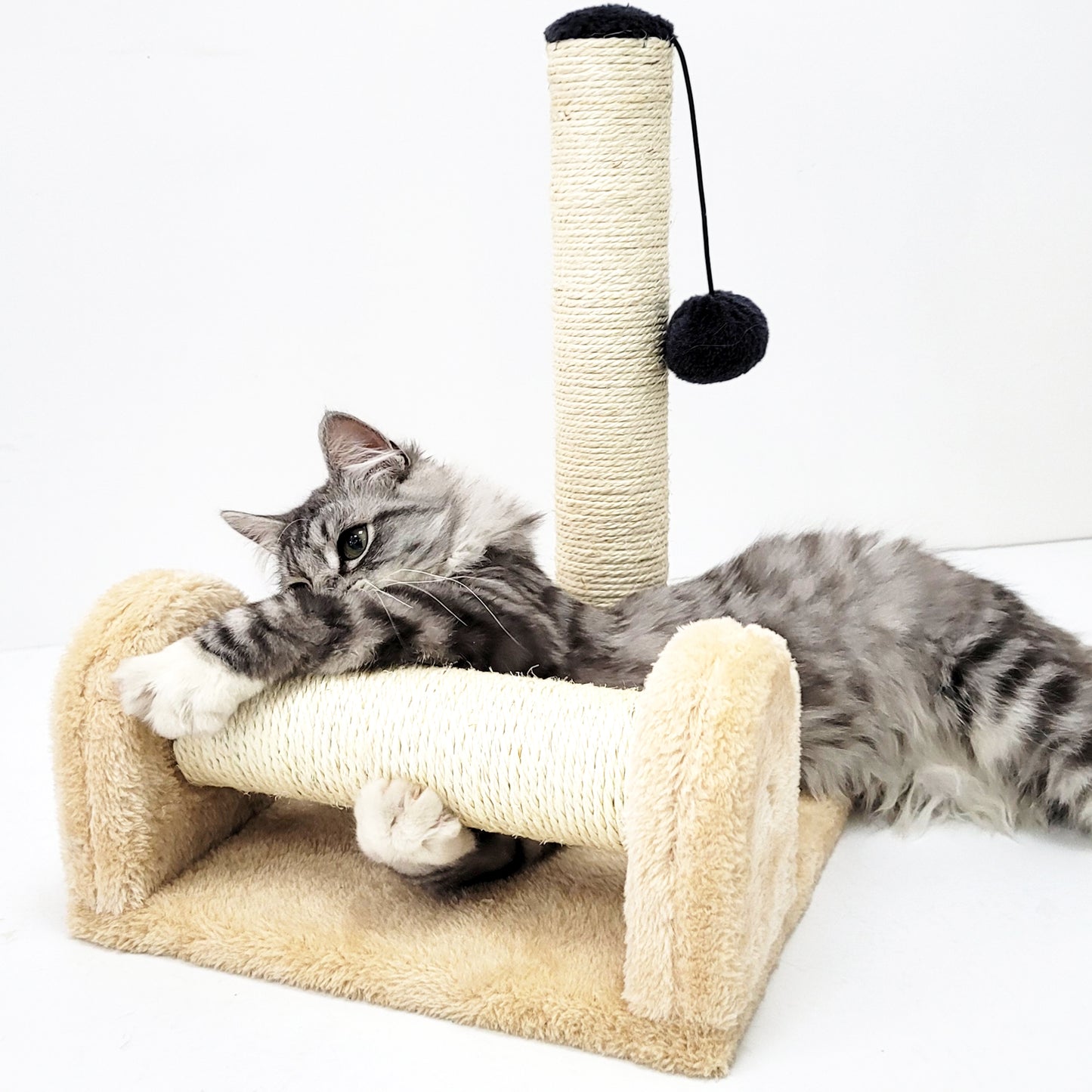 Dual Scratching Post for Indoor Cats