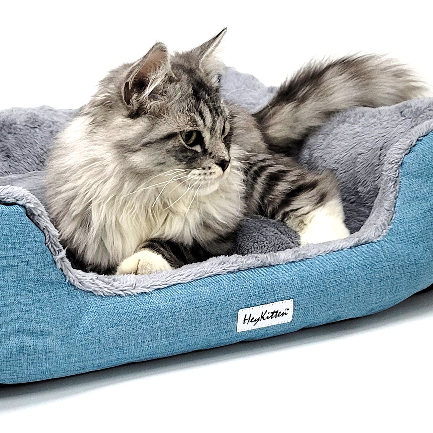 Ultra Soft Cushion Cat Bed with Odor Removing Charcoal Bags (Blue/Brown)