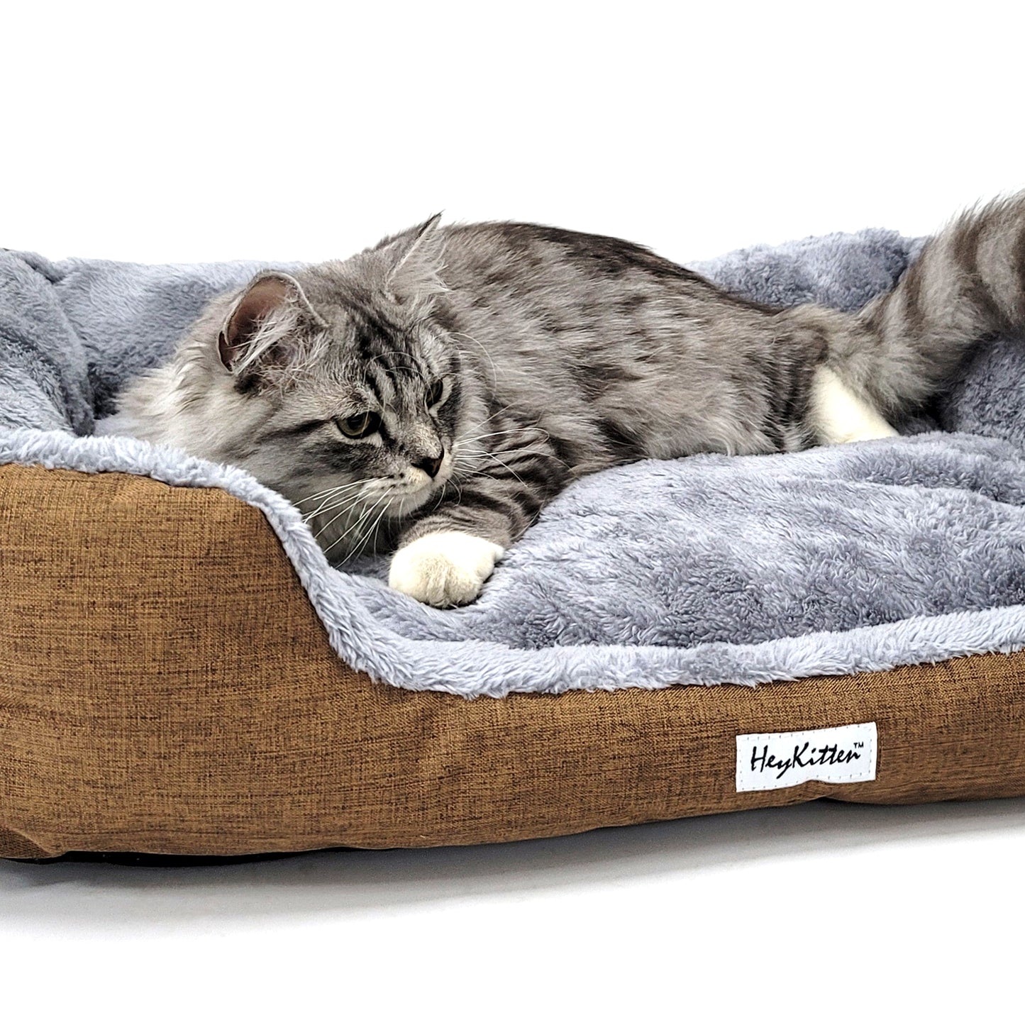 Ultra Soft Cushion Cat Bed with Odor Removing Charcoal Bags (Blue/Brown)