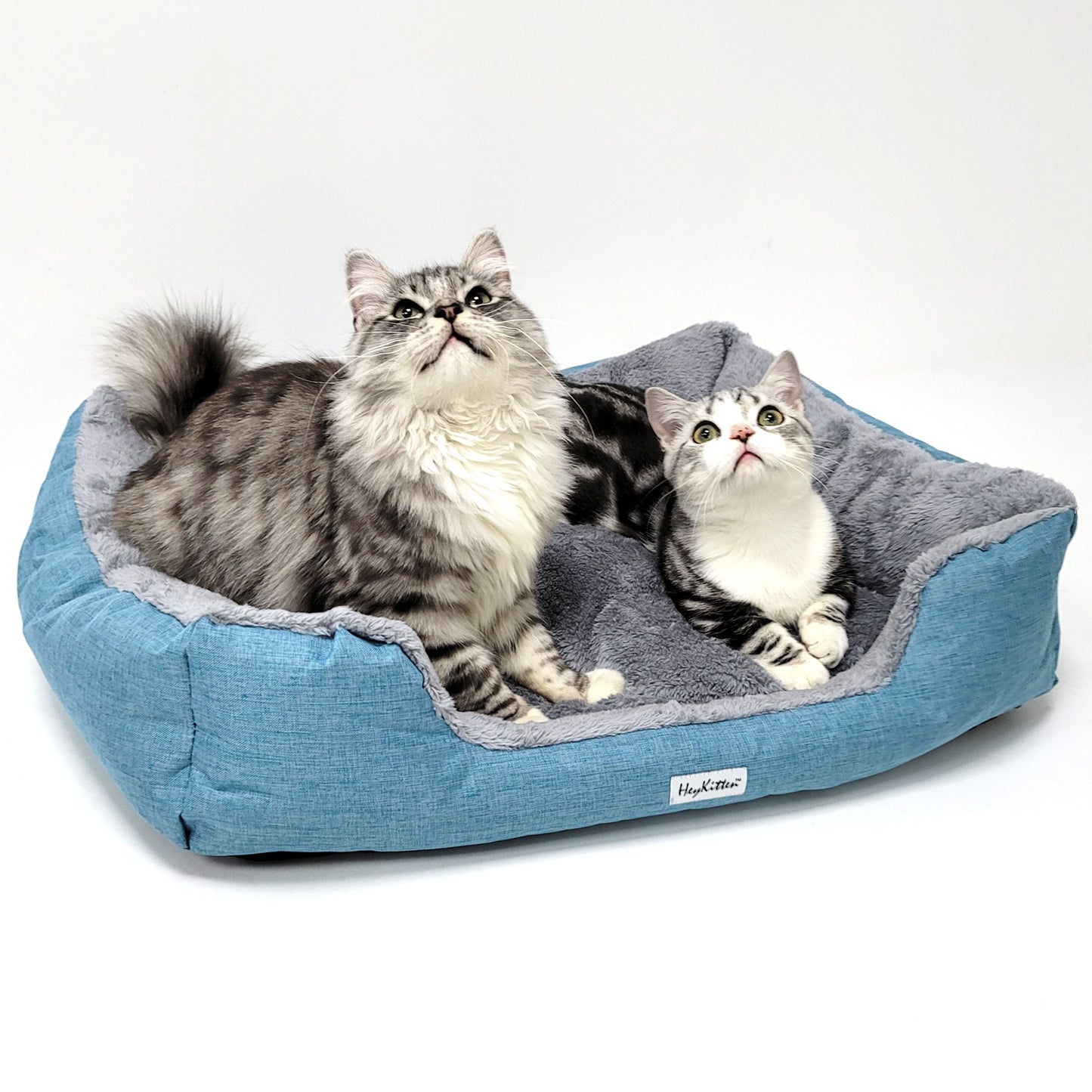 Ultra Soft Cushion Cat Bed with Odor Removing Charcoal Bags (Blue/Brown)