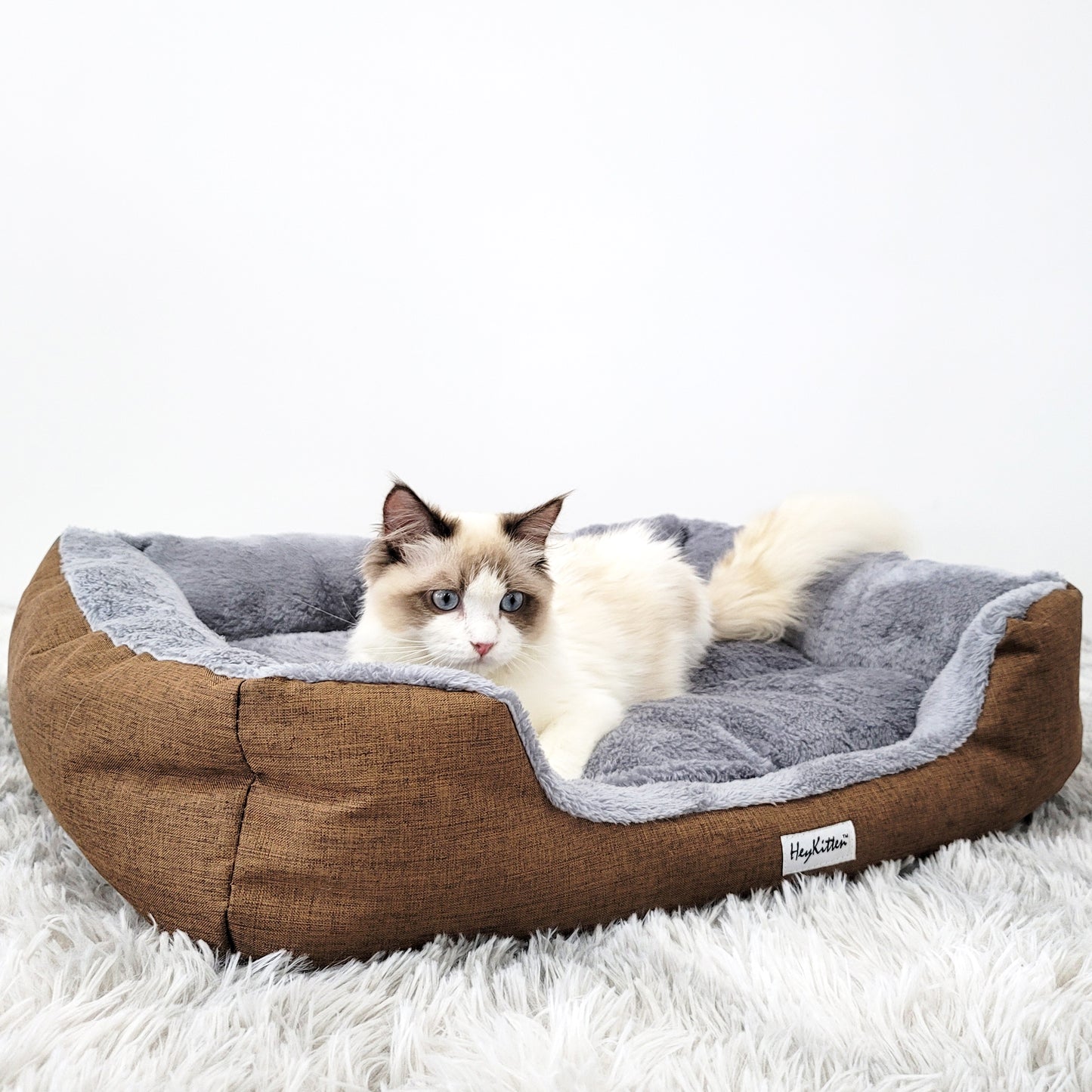Ultra Soft Cushion Cat Bed with Odor Removing Charcoal Bags (Blue/Brown)