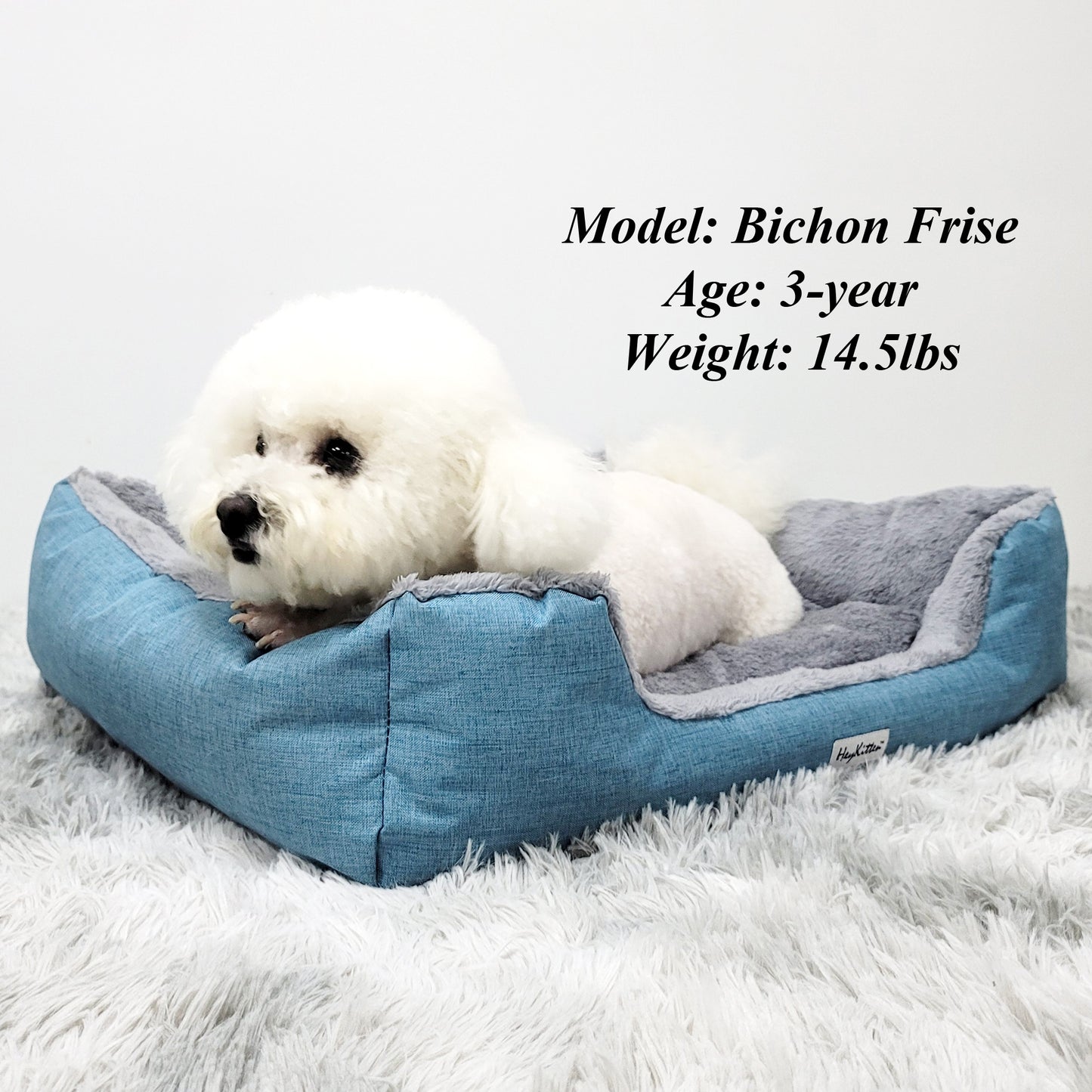 Ultra Soft Cushion Cat Bed with Odor Removing Charcoal Bags (Blue/Brown)