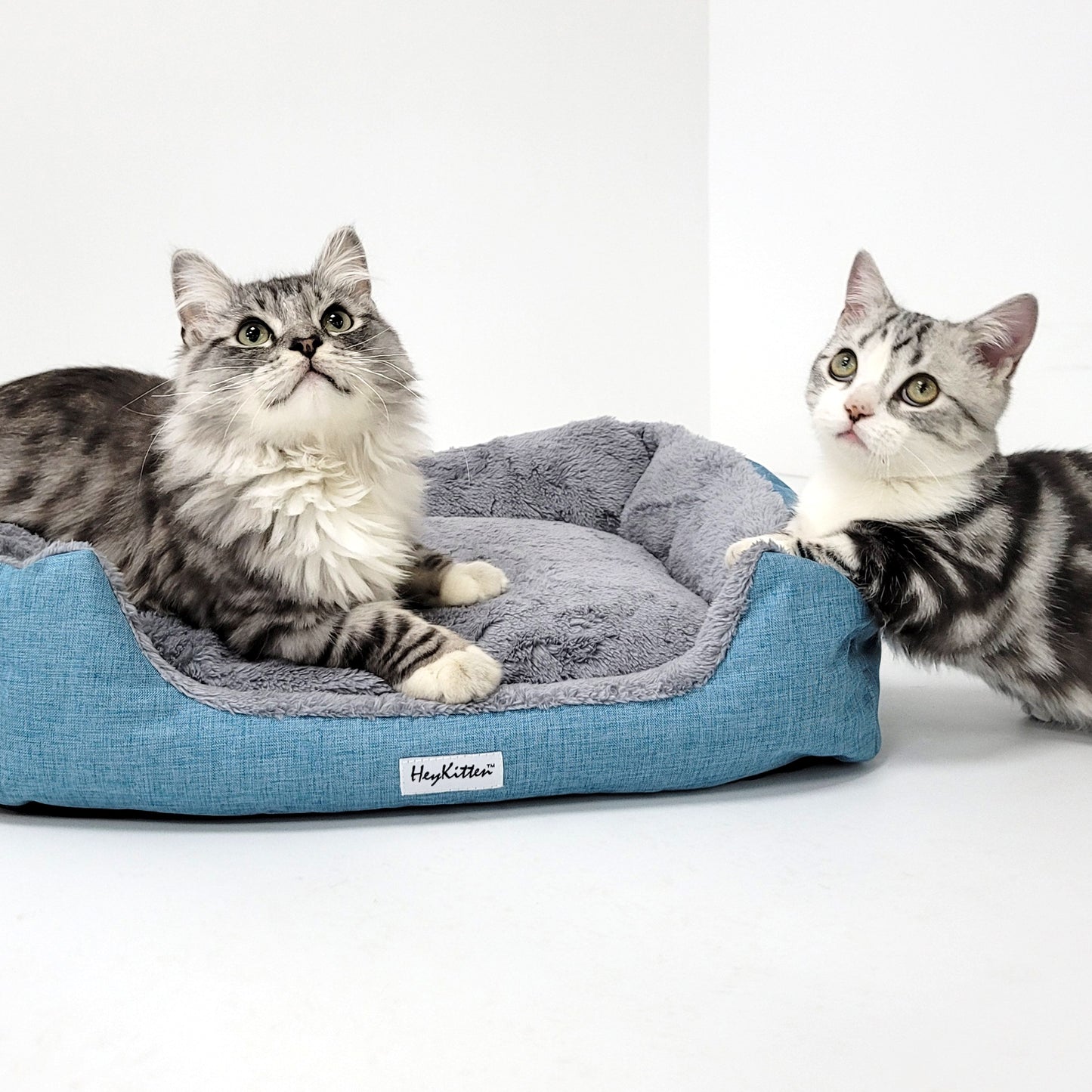 Ultra Soft Cushion Cat Bed with Odor Removing Charcoal Bags (Blue/Brown)
