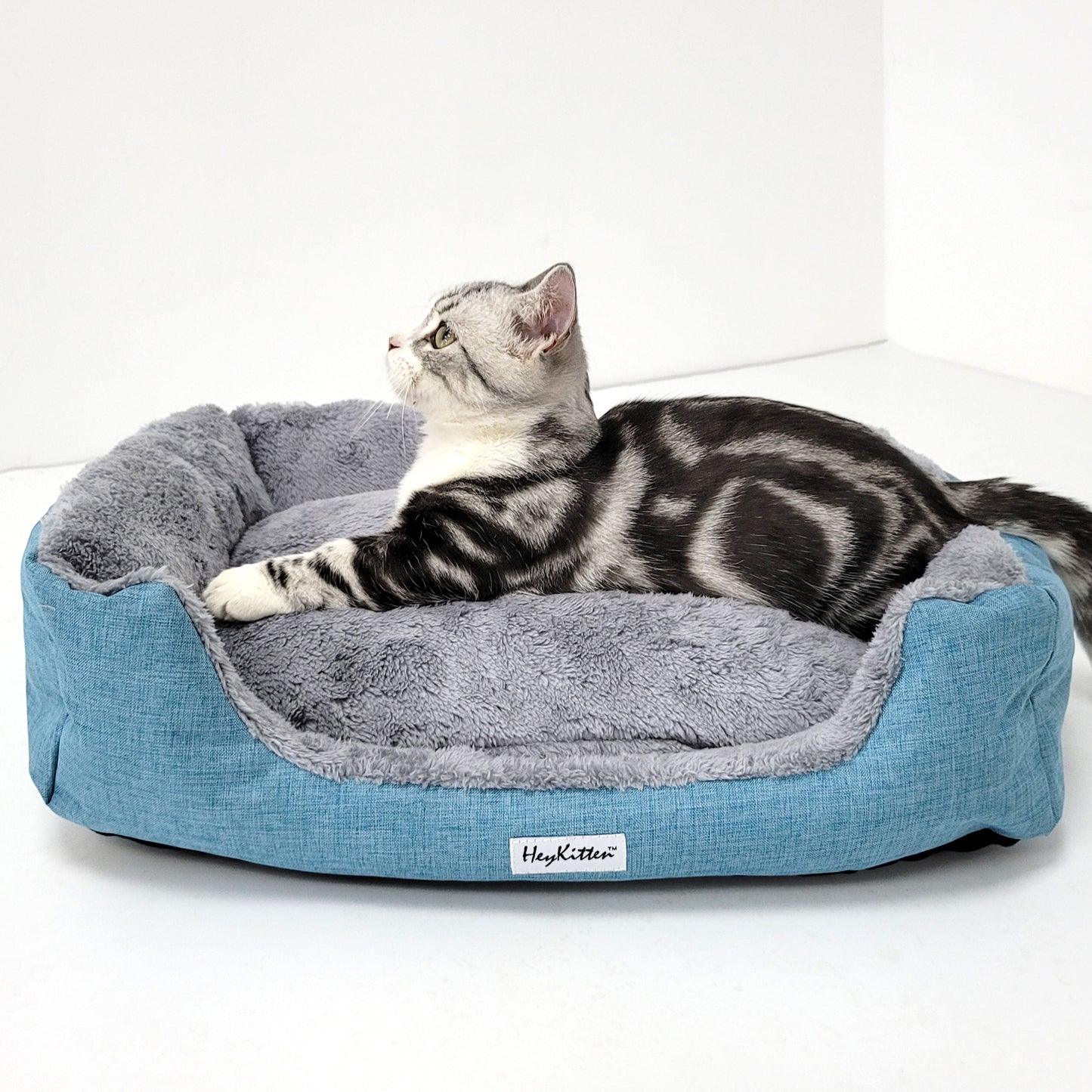 Ultra Soft Cushion Cat Bed with Odor Removing Charcoal Bags (Blue/Brown)